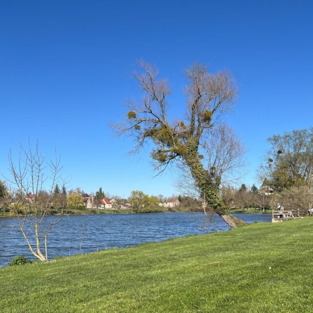 Etang 9 bis